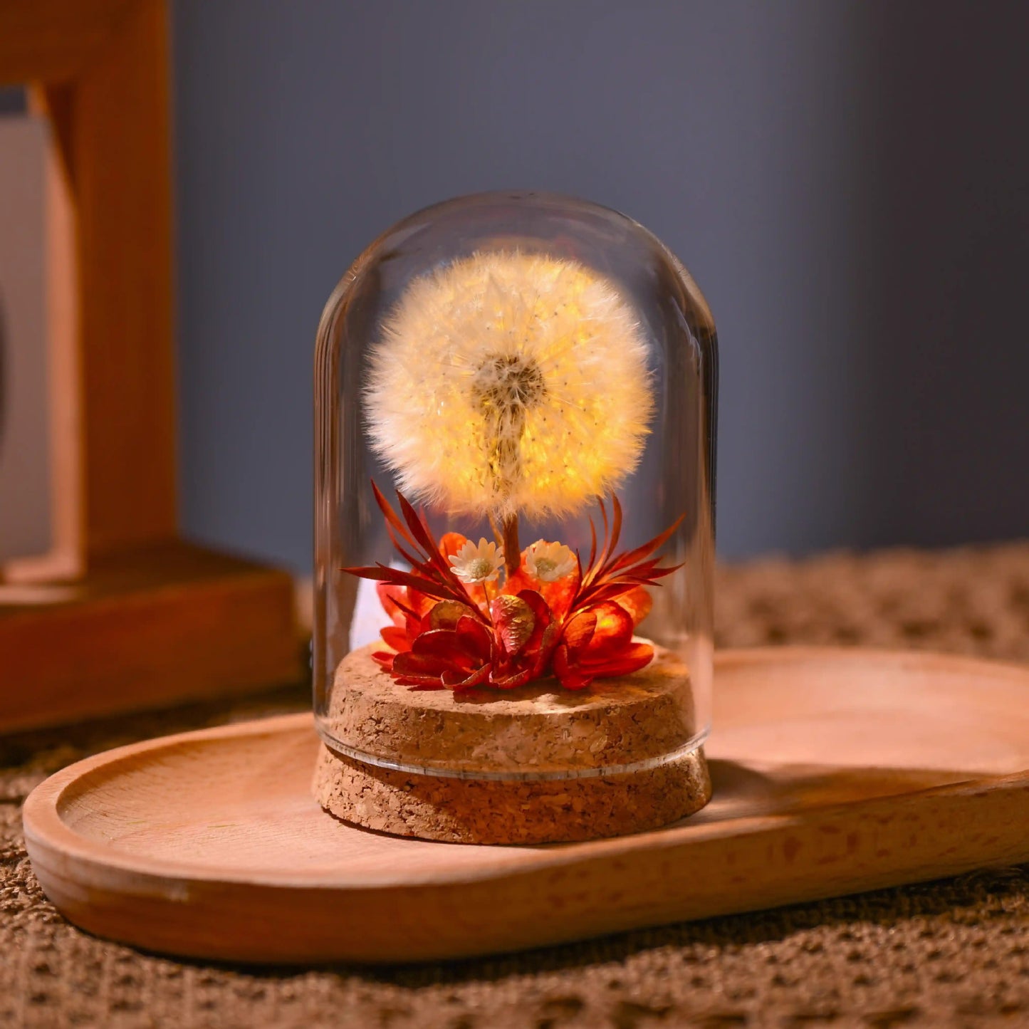 Flower Xu Night Light Dandelion Preserved Flower Bouquet in Glass Dome Birthday Gift
