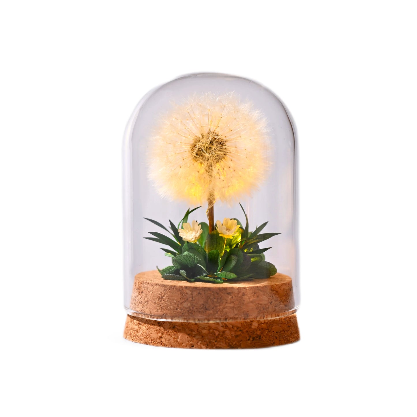 Flower Xu Night Light Dandelion Preserved Flower Bouquet in Glass Dome Birthday Gift