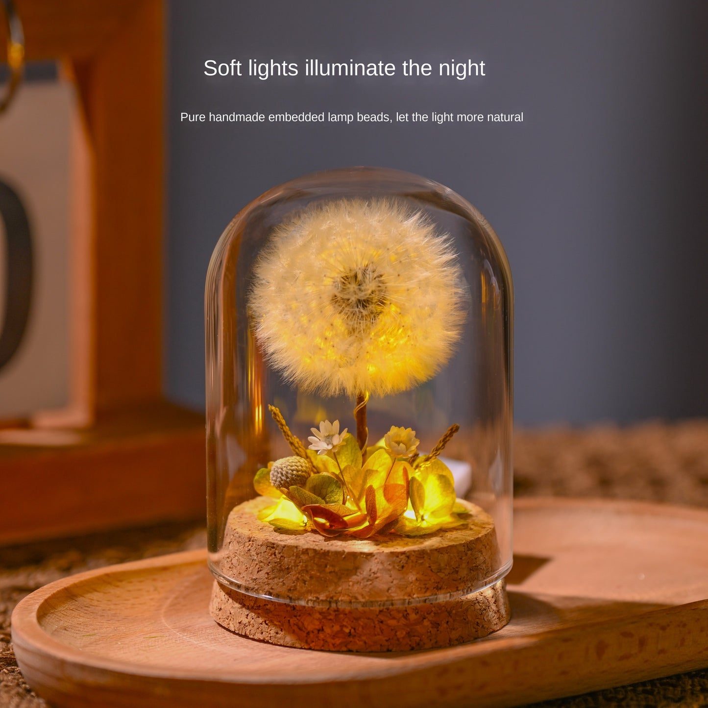 Flower Xu Night Light Dandelion Preserved Flower Bouquet in Glass Dome Birthday Gift