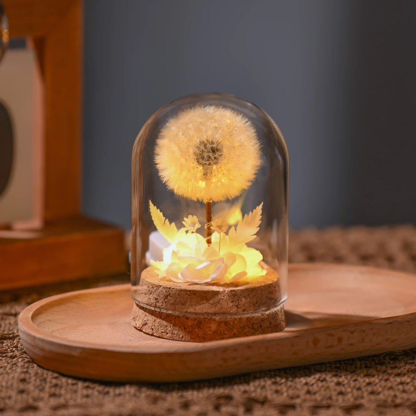 Flower Xu Night Light Dandelion Preserved Flower Bouquet in Glass Dome Birthday Gift