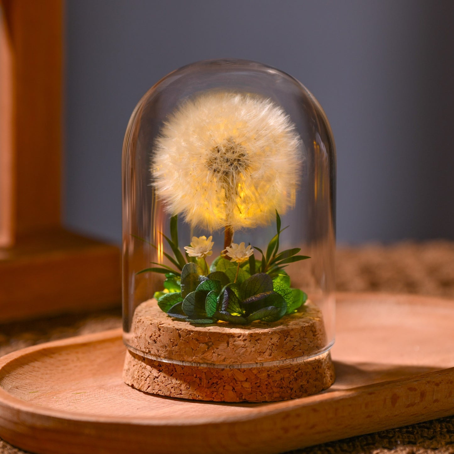 Flower Xu Night Light Dandelion Preserved Flower Bouquet in Glass Dome Birthday Gift