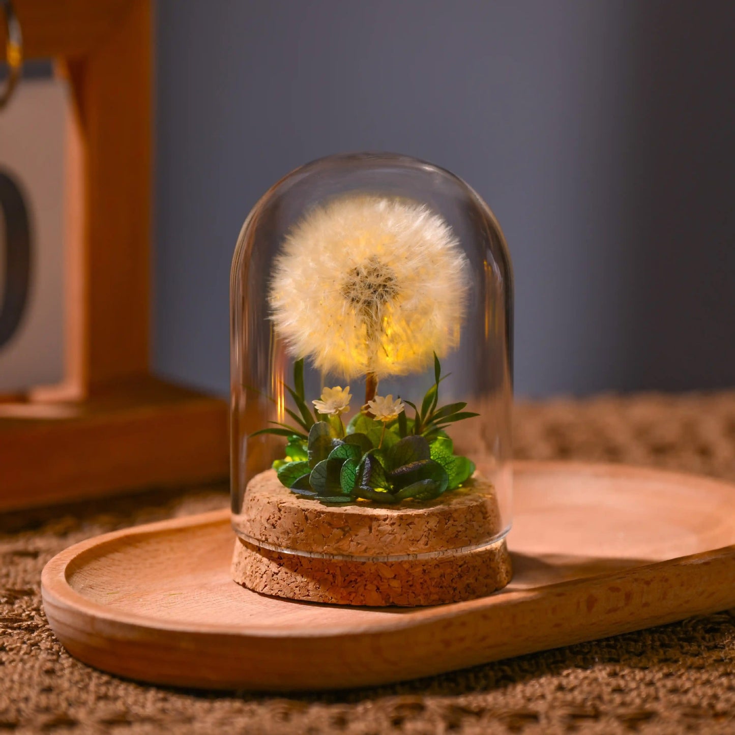 Flower Xu Night Light Dandelion Preserved Flower Bouquet in Glass Dome Birthday Gift